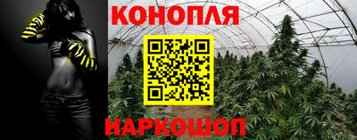 бошки Брянск