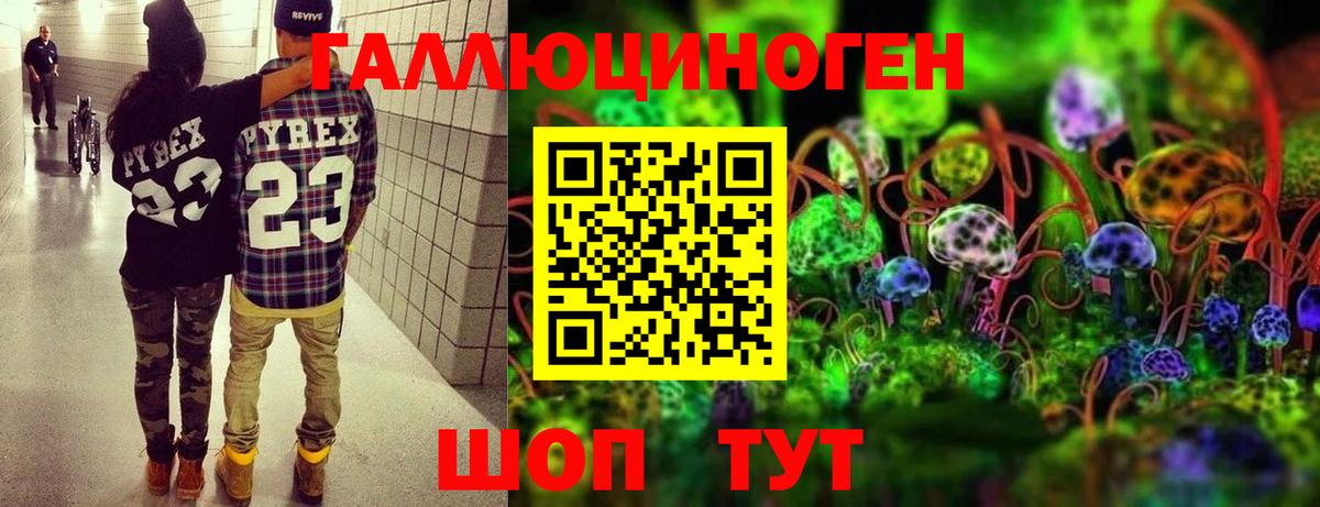 Псилоцибиновые грибы прущие грибы Златоуст