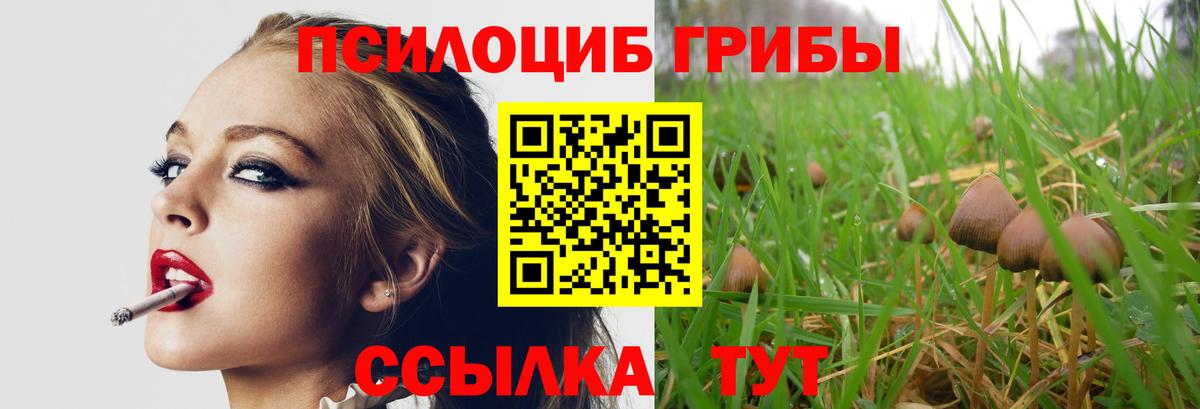 Златоуст  Псилоцибиновые грибы Cubensis  Псилоцибиновые грибы Psilocybine cubensis  Вход с VPN 